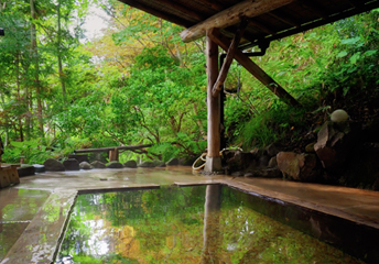 屋根付き露天風呂の写真