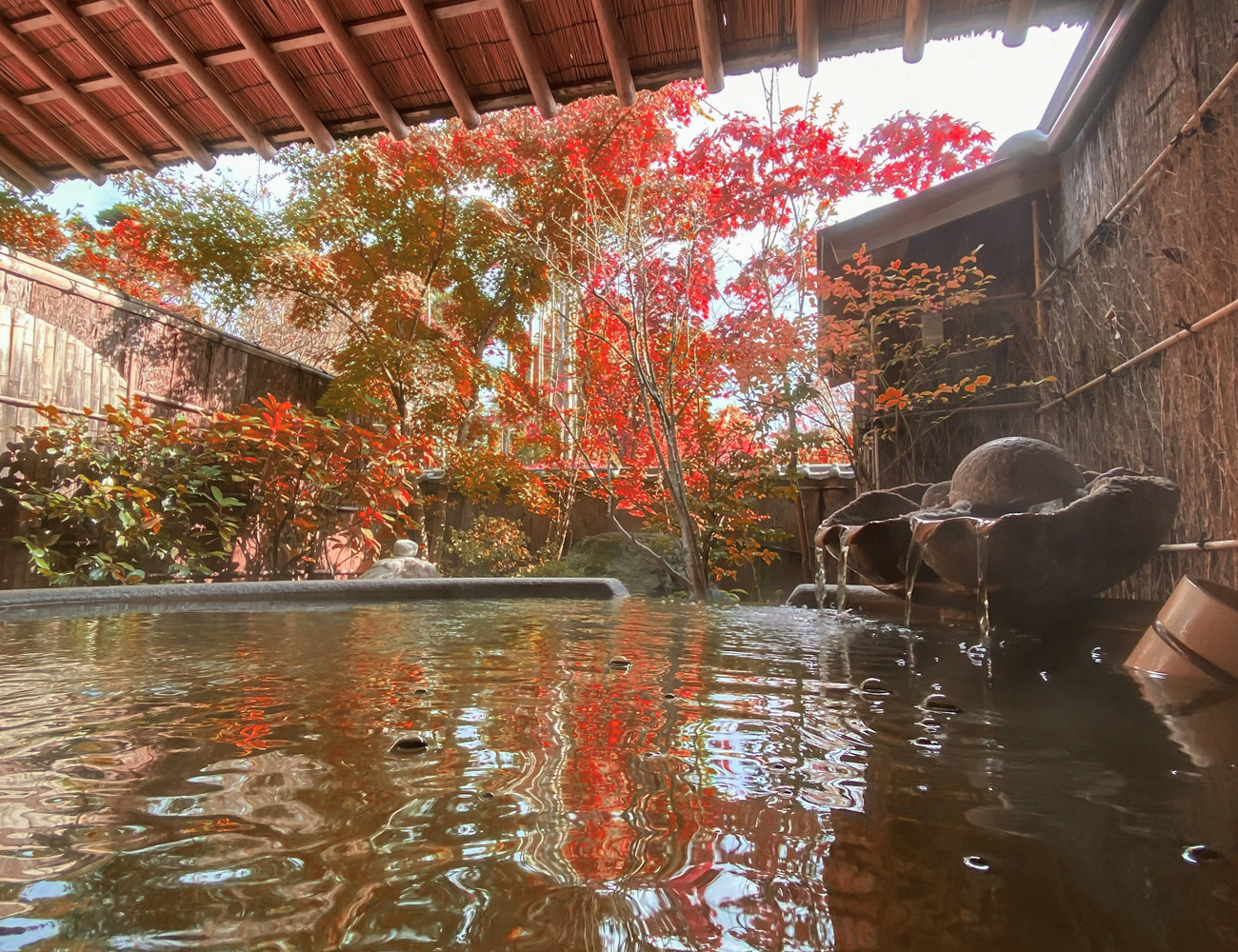 鶸の秋の写真